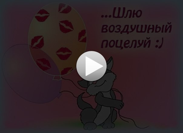 Миша Ясинский | Санкт-Петербург