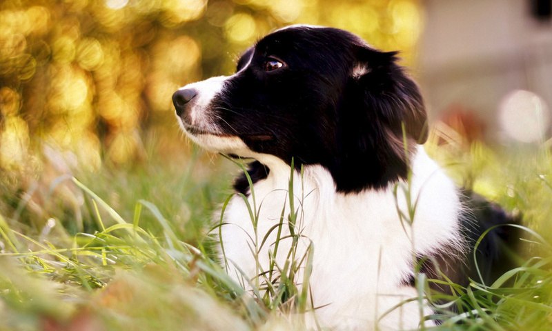 Тёма Ярыльченко •sphinx• | Киев