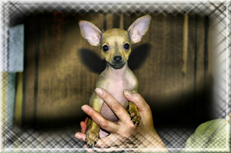 Ольга Завьялова | Великий Новгород