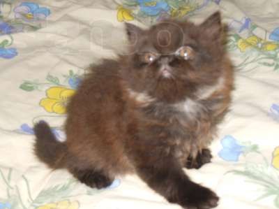 Иван Смирнов | Manchester