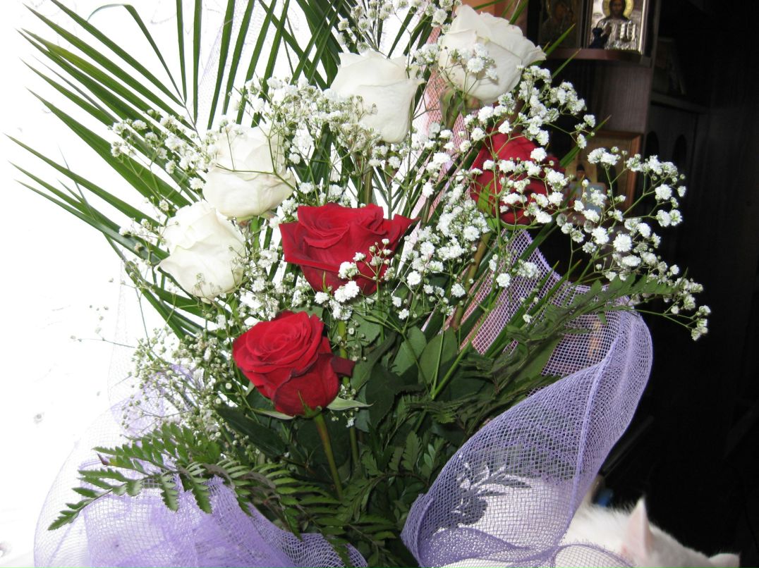 Наталья Давыдова | Петрозаводск