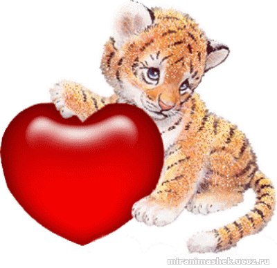 Евгений Шулбаев | Владивосток