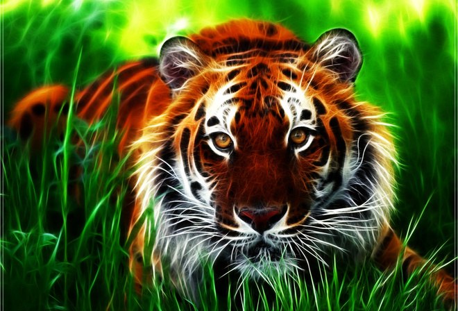 Анатолий Ставский @MUSIK MEN@ | Николаев