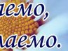 Екатерина Уличева | Краснодар