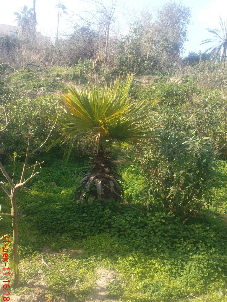 Людмила Рухленко | Москва