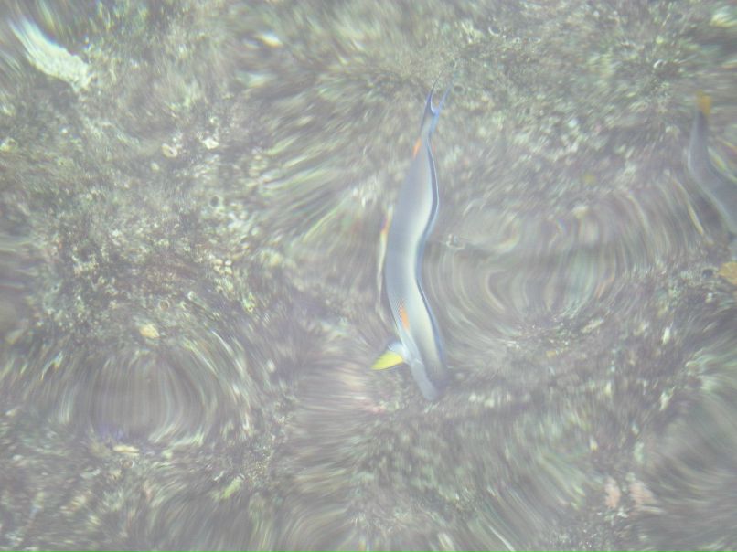 Александр Подхватилин | Волгоград