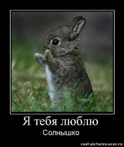 Анна Гончарова-Слинкина | Тюмень