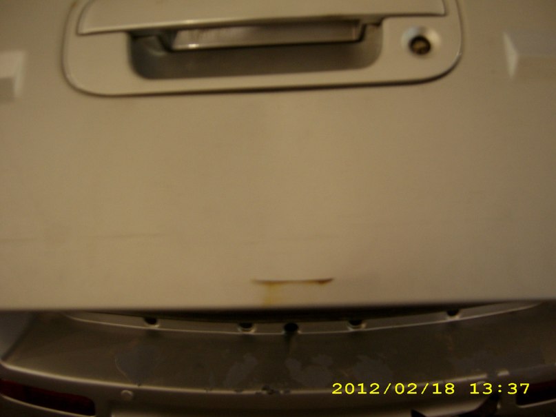 Наталья Кочнева | Санкт-Петербург