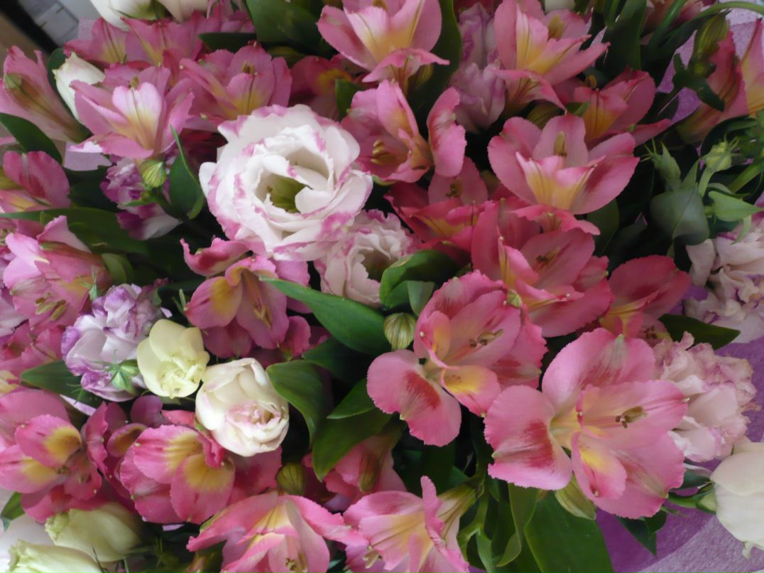 Светланка Шамардина | Москва