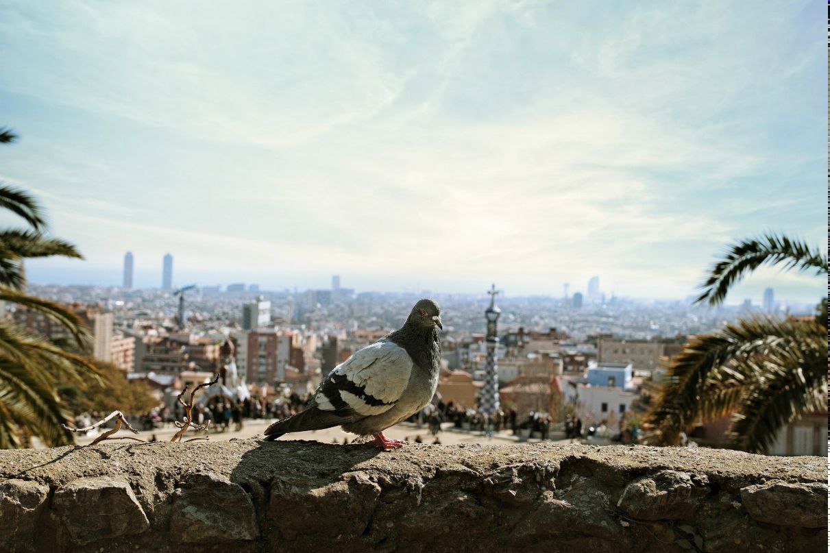 Александр Кулаков | Barcelona