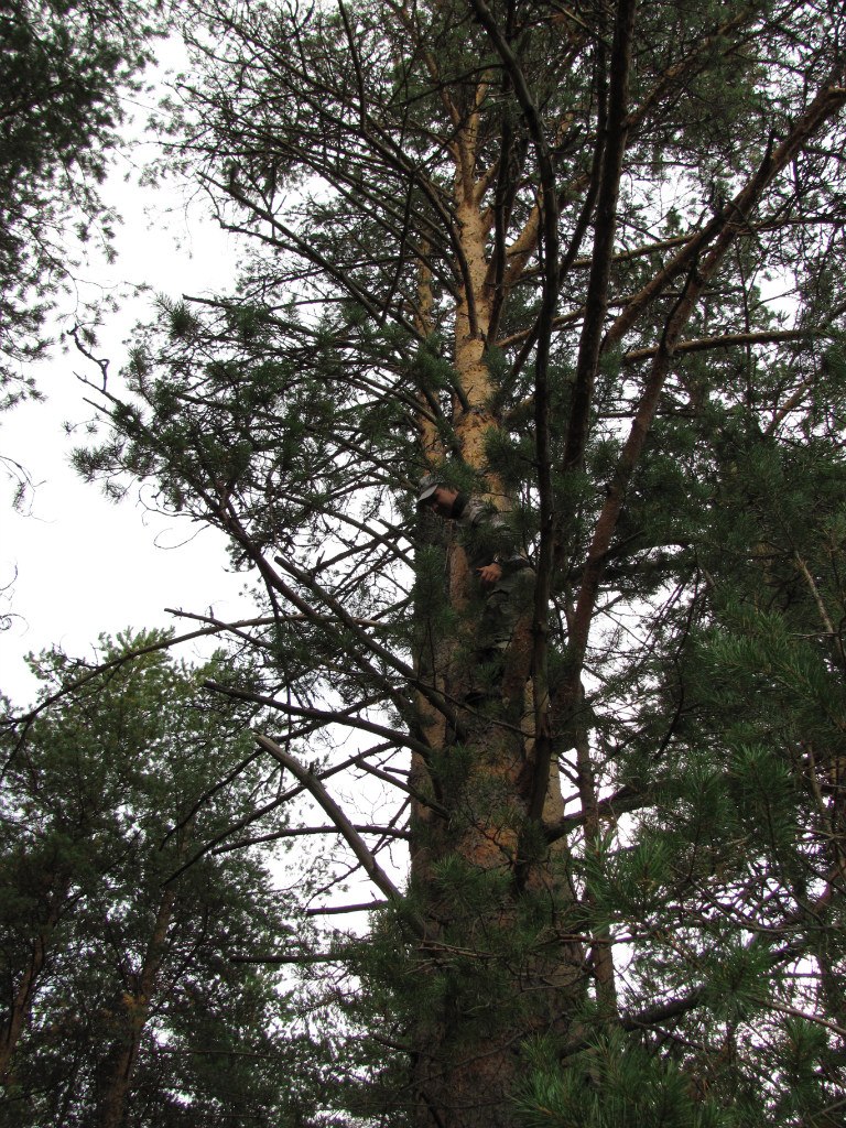 Илья Вишневой 