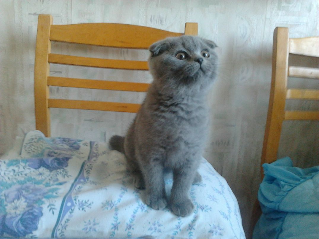 Марина Новикова | Минск