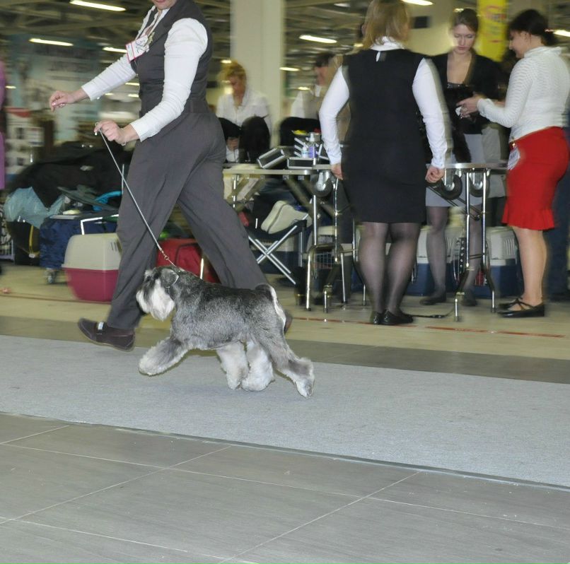 Елена Никитина | Санкт-Петербург