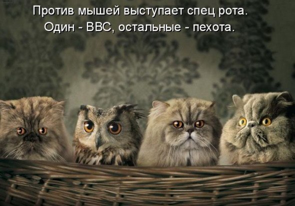 Алексей Афонин | Самара