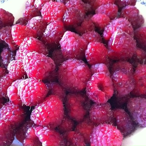 №1, Максим Бабичев, Limassol, Кипр №1, Максим Бабичев, Limassol, Кипр