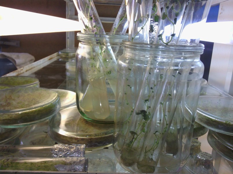 Roman Kurilov | Heidelberg