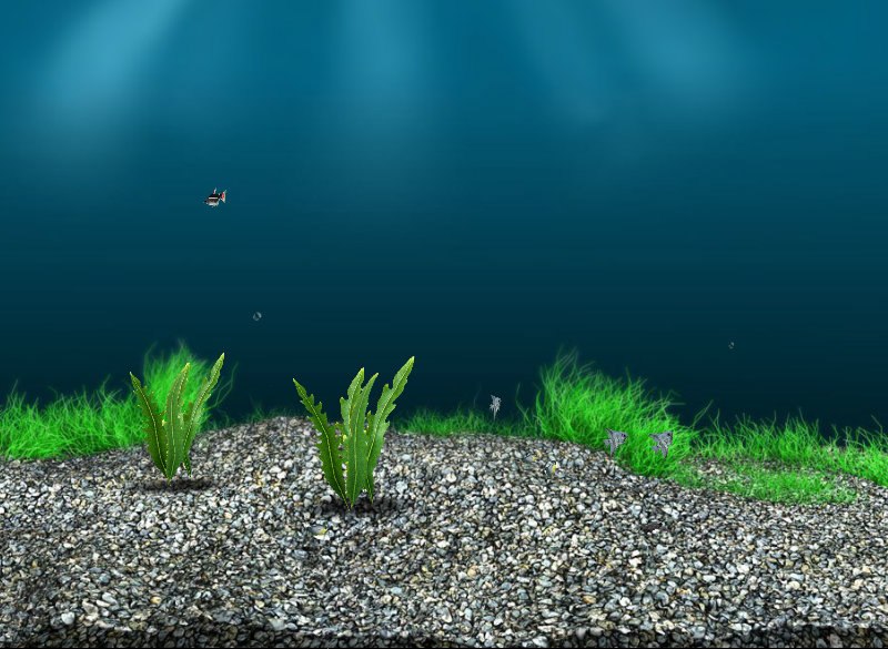 Александр Терёхин николаевич | 