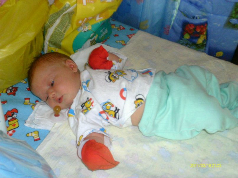 Елена Шевцова | Балашов