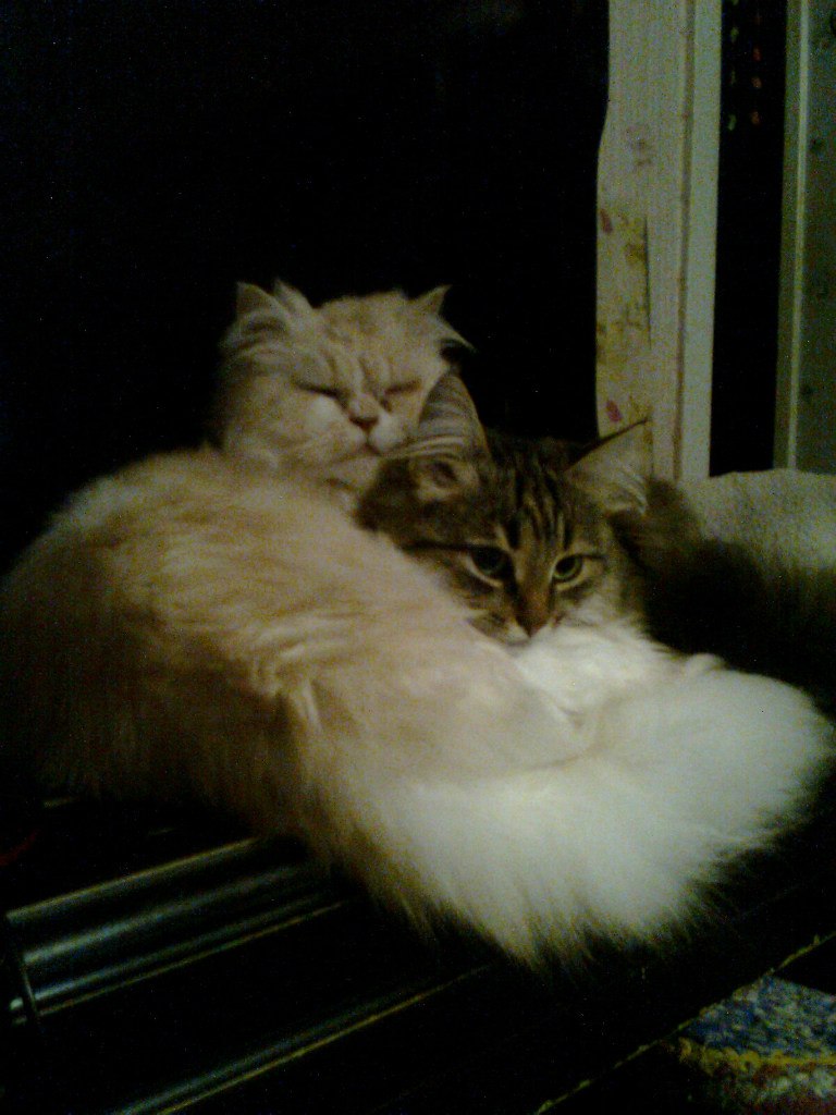 Надежда Иванцова | Ростов-на-Дону