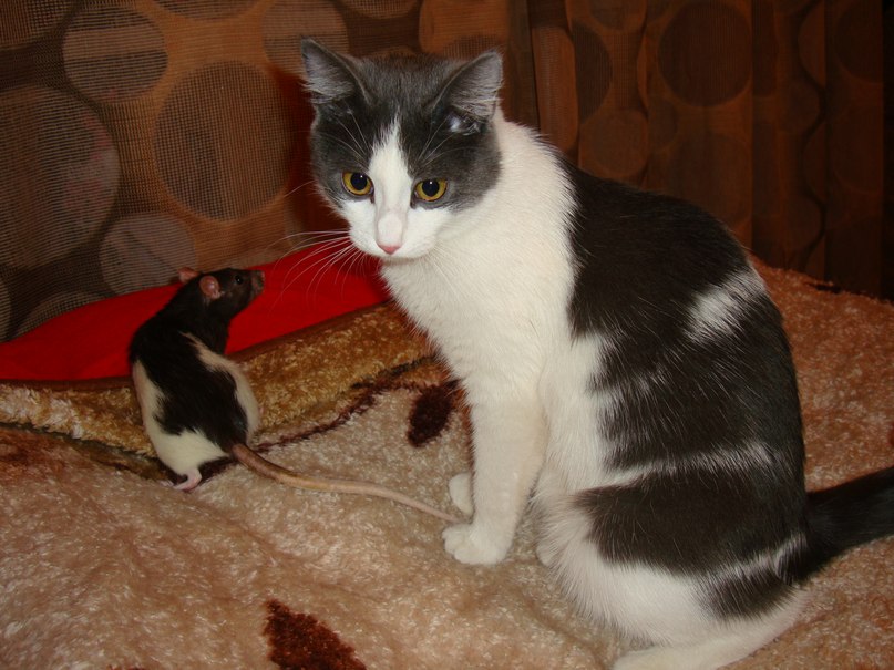 Екатерина Богоедова | Красноярск