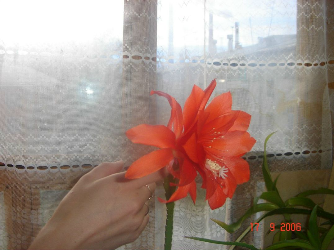 Роза Хлебникова | Уфа