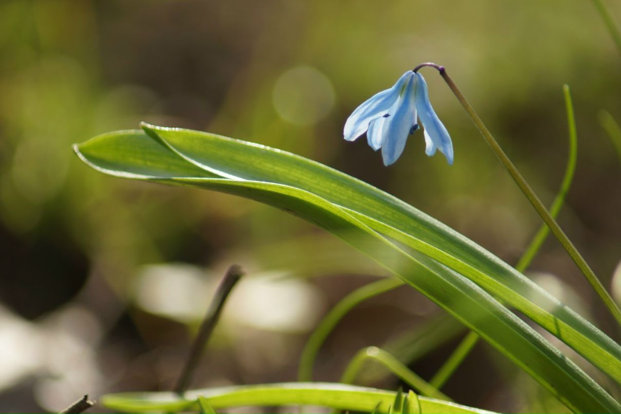 Александр Водолажченко | Харьков