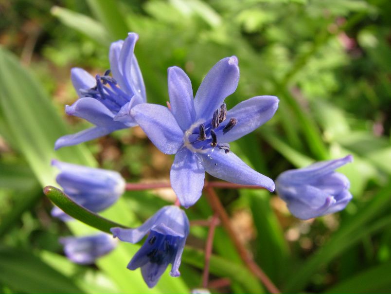 №106, Ольга Миусова, Херсон №106, Ольга Миусова, Херсон