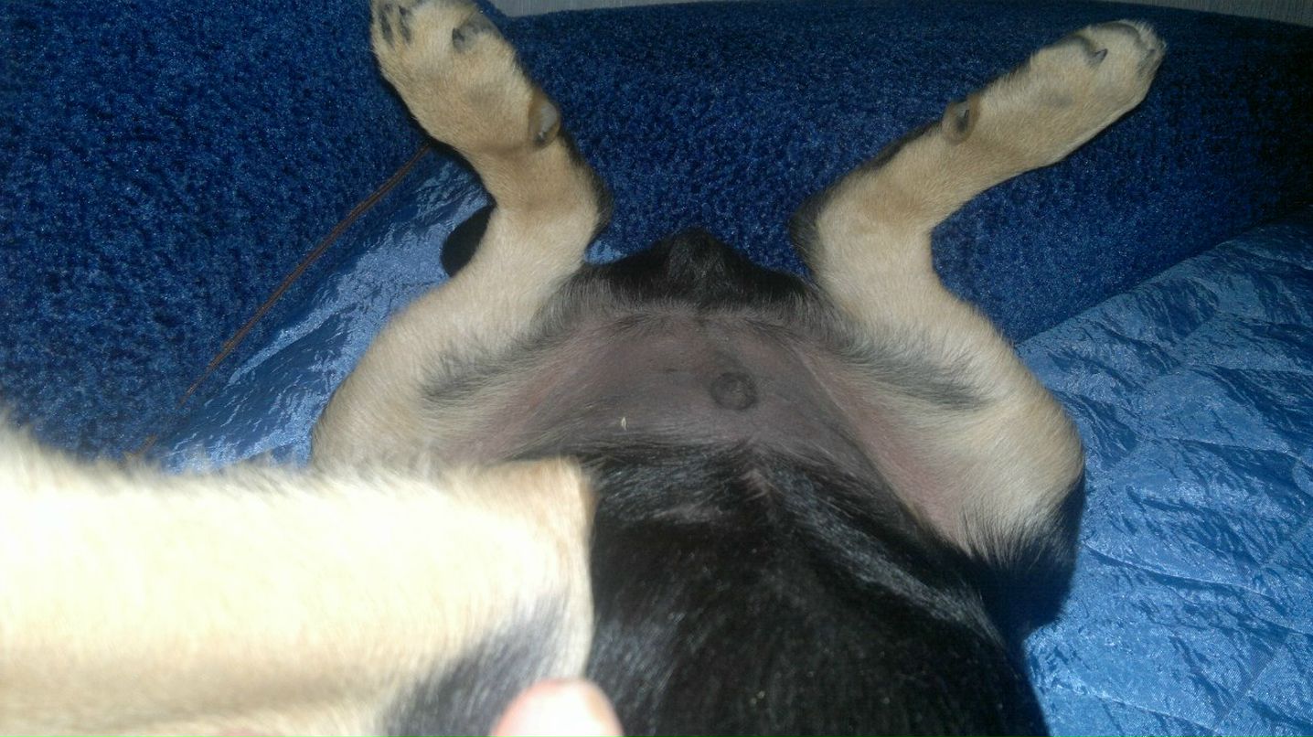 Олег Янковский ОлЕжКа:) | Киев