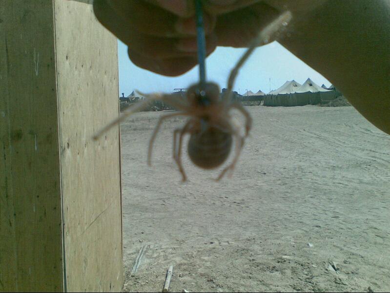 Вадим Назаров •●z@tvorn1k•● | Ярославль