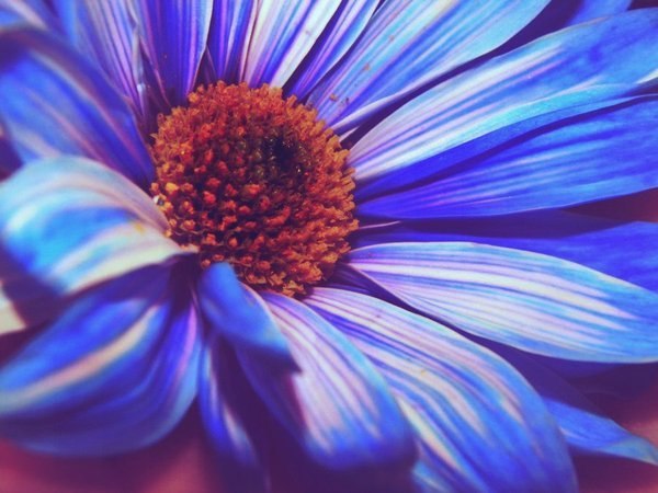 Олечка Коломейчук | Одесса