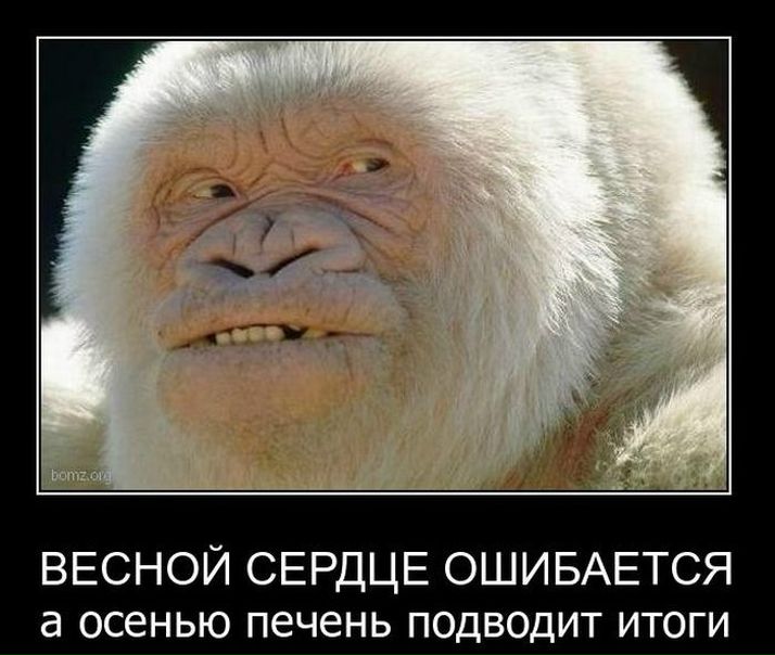 №86, Эддд Колпакофф, 11.5.1984 №86, Эддд Колпакофф, 11.5.1984