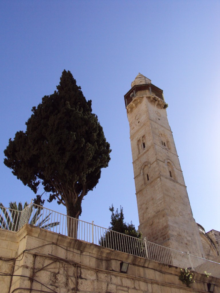 Татьяна Фролова | Москва