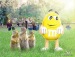 Жовтий M&m's фотография #14