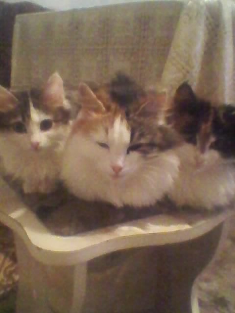 Юля Власова Сергеевна | 