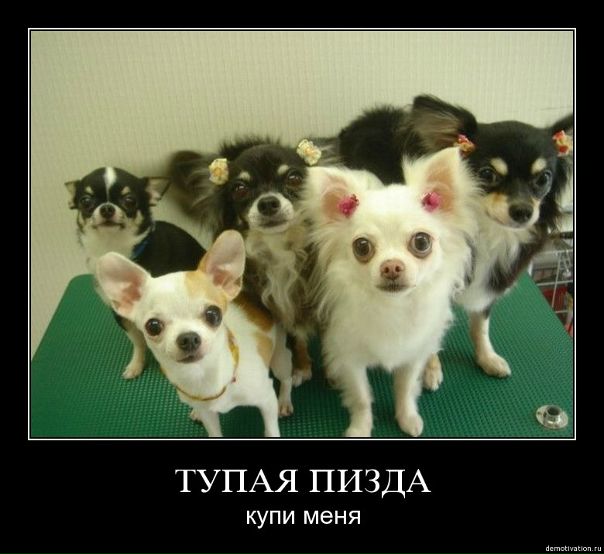 №76, Сергей Гарин, 35 лет, Владивосток №76, Сергей Гарин, 35 лет, Владивосток