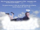 Фотография Дитя Божье