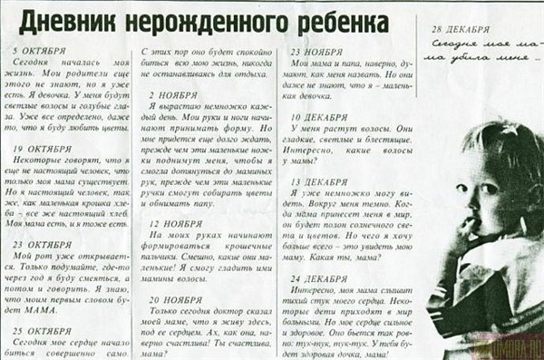 №106, Александра Ващенко, Краснодар №106, Александра Ващенко, Краснодар