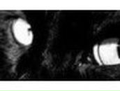 Марина Михайлова ♥♥♥КИСМА♥♥♥ | Санкт-Петербург