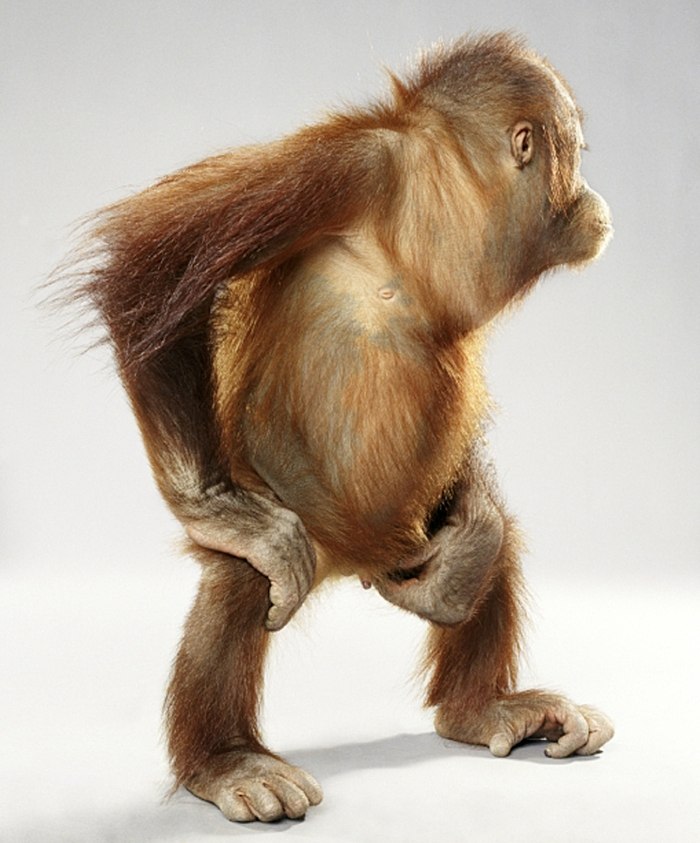 Владислав Ситнов Борисович | Москва