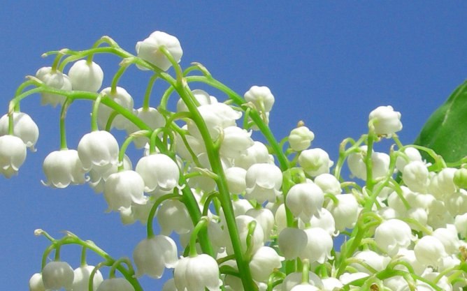 Анна Пушкина | Санкт-Петербург