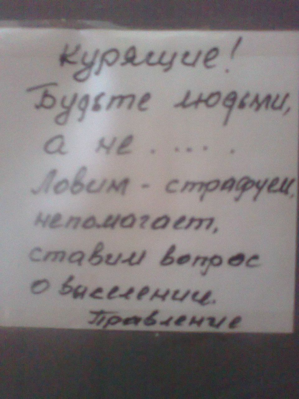 Анна Васильева | Киев