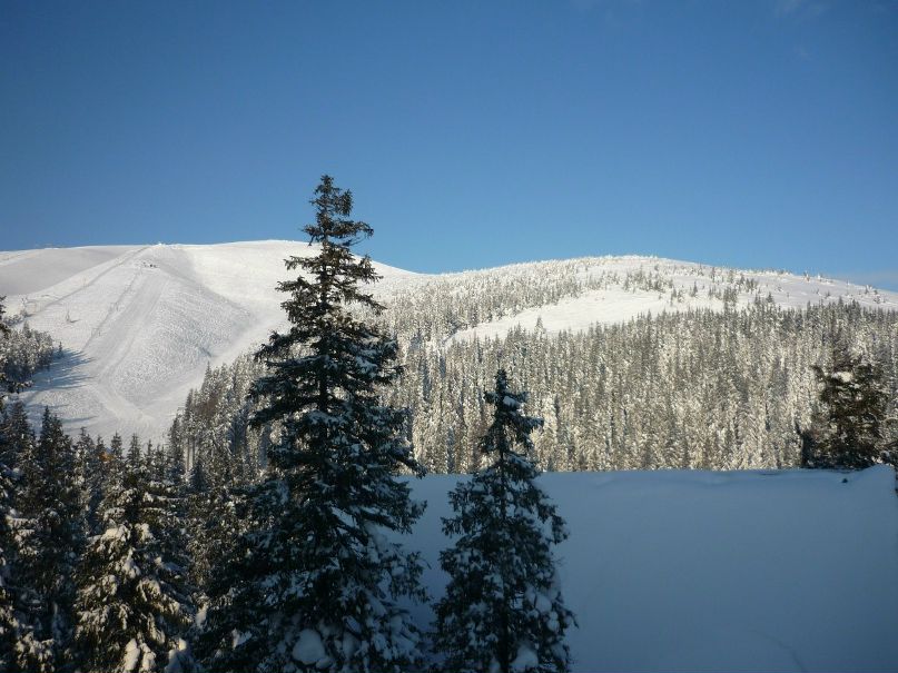 Александр Воробьев | Москва