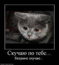 Фотография Колесникова Федора