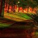 Виктория Серышева фотография #23