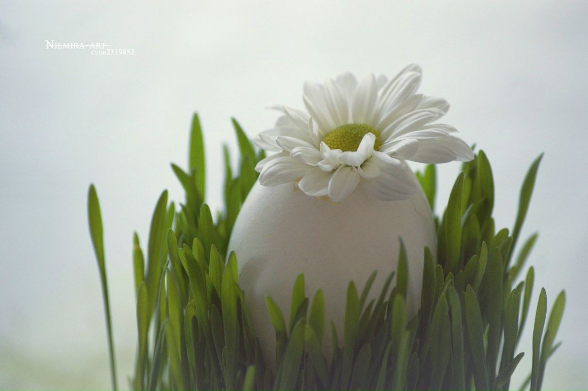 Дина Суравенко | Ханты-Мансийск