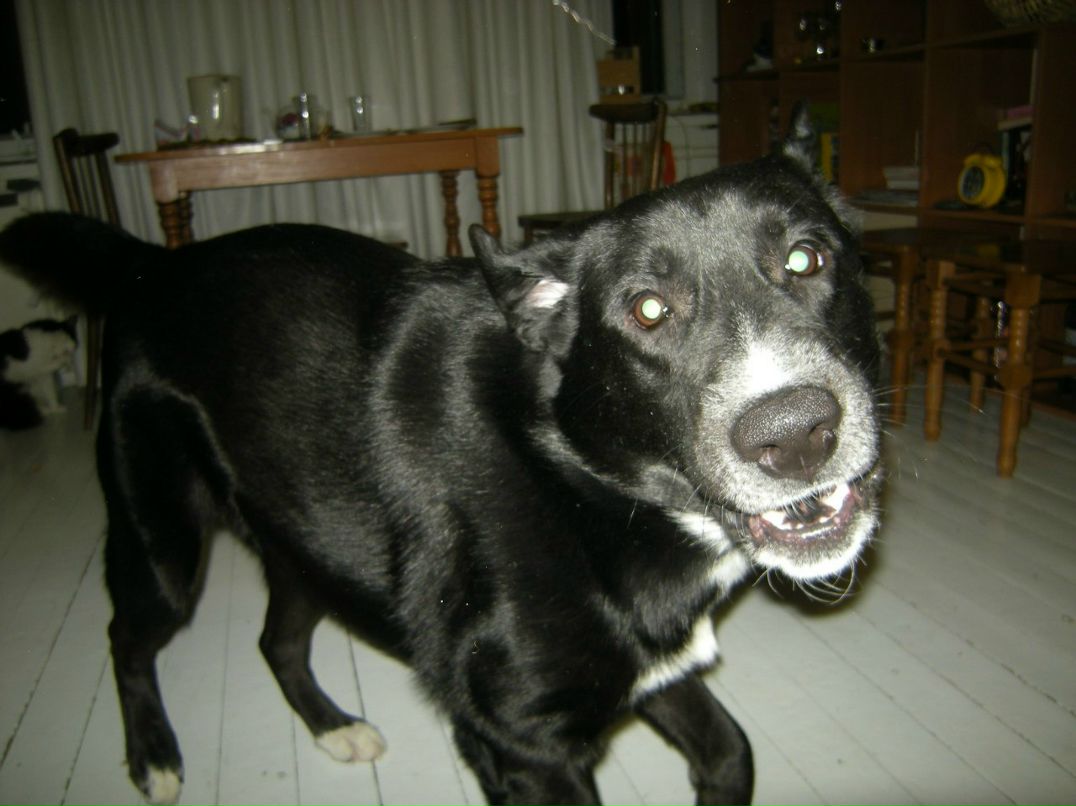 Анна Полын | Минск