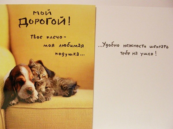 Лиана Girl | Самара