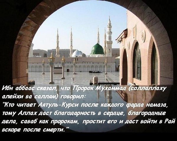 Асыл Нургазинова | Барнаул
