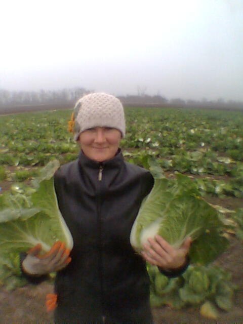 Оксана Чернецкая Петровна | Бриловка