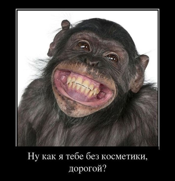 №8, Вилен Мкртчян, Одесса №8, Вилен Мкртчян, Одесса